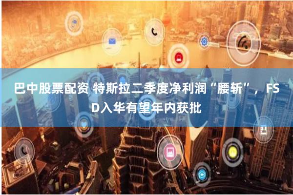 巴中股票配资 特斯拉二季度净利润“腰斩”，FSD入华有望年内获批