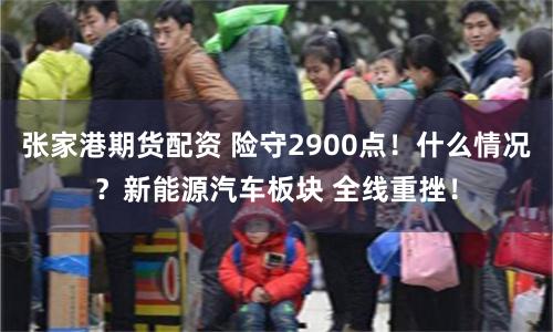 张家港期货配资 险守2900点！什么情况？新能源汽车板块 全线重挫！