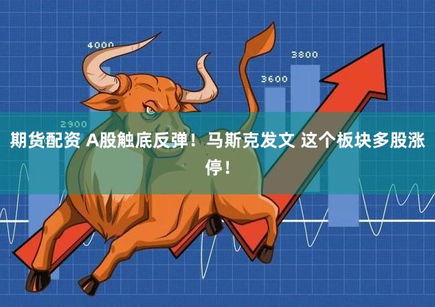 期货配资 A股触底反弹！马斯克发文 这个板块多股涨停！