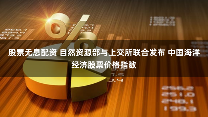 股票无息配资 自然资源部与上交所联合发布 中国海洋经济股票价格指数